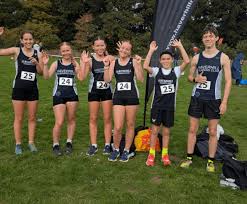 Image result for Ipswich Jaffa Athletics Club