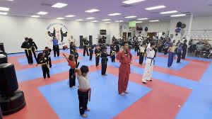 Image result for United Sport Karate