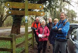 Image result for U3A Shaftesbury SG
