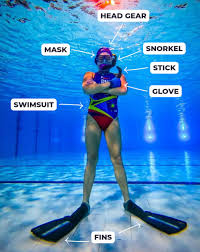 Image result for FXU Underwater Hockey