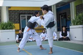 Image result for Durham University Shorinji Kempo Society Club