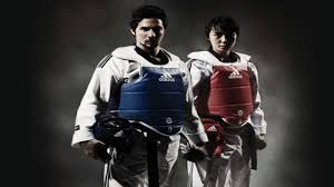 Image result for South Bank Taekwondo