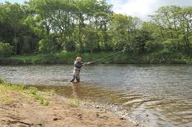 Image result for Penketh & Old Hall Angling Society