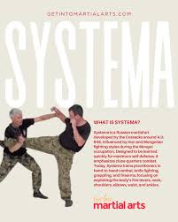 Image result for Get Into Martial Arts