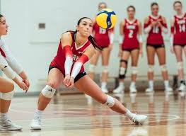 Image result for York University Swimming & Water Polo Club