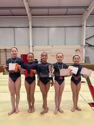 Image result for Huntingdon Gymnastics Club