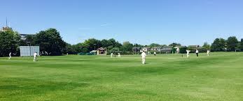 Image result for Longstanton Grasshoppers Cc