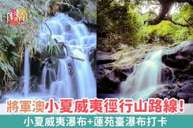 Image result for 水野X68仁義