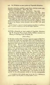 Attēlu rezultāti vaicājumam “Arcyria globosa young”