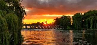 Image result for Thames Valley Angling