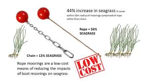 Image result for Unsworth Cc