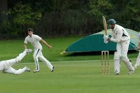 Image result for Theale and Tilehurst Cricket Club