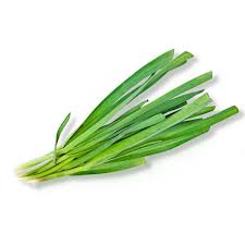 Image result for Schnittknoblauch