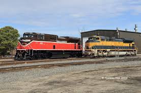 Image result for Worcester Dominies & Guild Cc