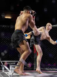 Image result for NEMESIS MARTIAL ARTS & FITNESS