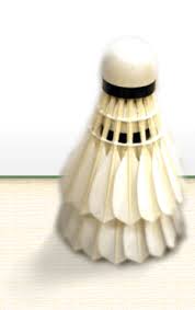 Image result for Orton Badminton Club