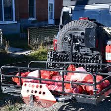 Resultado de imagen para PULL PAL