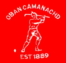Image result for Lochcarron Camanachd