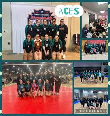 Image result for Cheltenham Cobras Volleyball Club