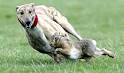 coursing.jpg