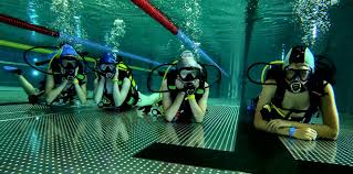 Image result for Stortford Divers