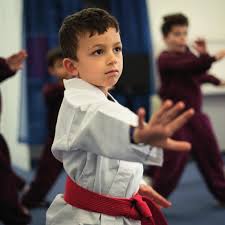 Image result for Highgate Martial Arts Academy