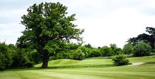 Image result for Colne Valley Golf Club Ltd