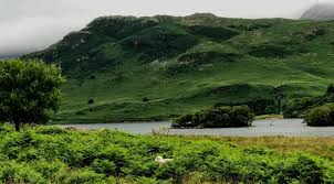 Image result for Nethertown Bowling Club