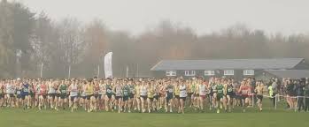 Image result for Calderglen Harriers