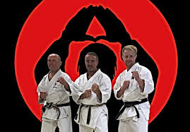Image result for Henley Shotokan Karate Club