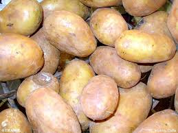 Attēlu rezultāti vaicājumam “Solanum tuberosum”