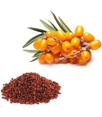 Attēlu rezultāti vaicājumam “Rhinanthus serotinus fruit”