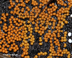 Attēlu rezultāti vaicājumam “Trichia varia”