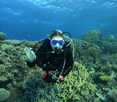 Image result for Reading Bsac