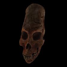 Image result for elongated skulls
