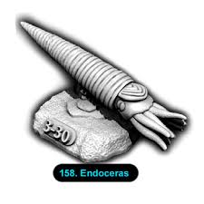 Attēlu rezultāti vaicājumam “Endoceras”