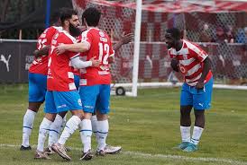 Image result for Chipstead Fc