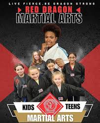 Image result for Red Dragon Taekwondo club