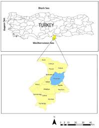 Attēlu rezultāti vaicājumam “Stemonitopsis amoena spores”