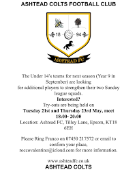 Image result for Ashtead Football Club