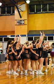 Image result for Capricorn Netball Club
