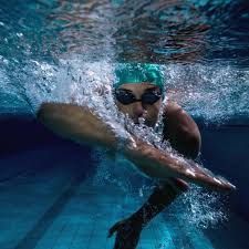 Image result for City of Preston Aquatics