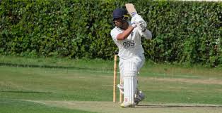 Image result for Hadlow Cricket Club