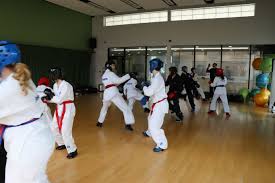 Image result for Central London Bytomic Taekwondo