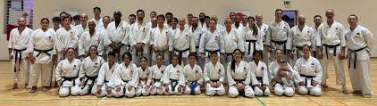 Image result for Harpenden JKA Karate