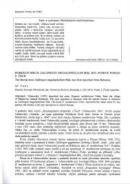 Attēlu rezultāti vaicājumam “Calliergon megalophyllum”