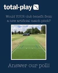 Image result for Alne Cricket Club