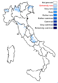 Attēlu rezultāti vaicājumam “Hertelidea botryosa”