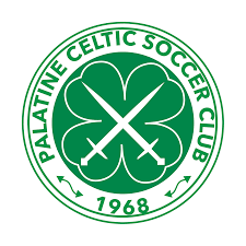 Image result for Maesteg Celtic Athletic & Social Club
