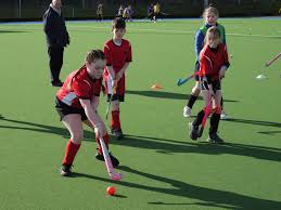 Image result for Ellon Gordon Hockey Club